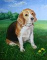 Kutya / Dog - 2008 - technic: oil canvas